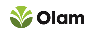Olam